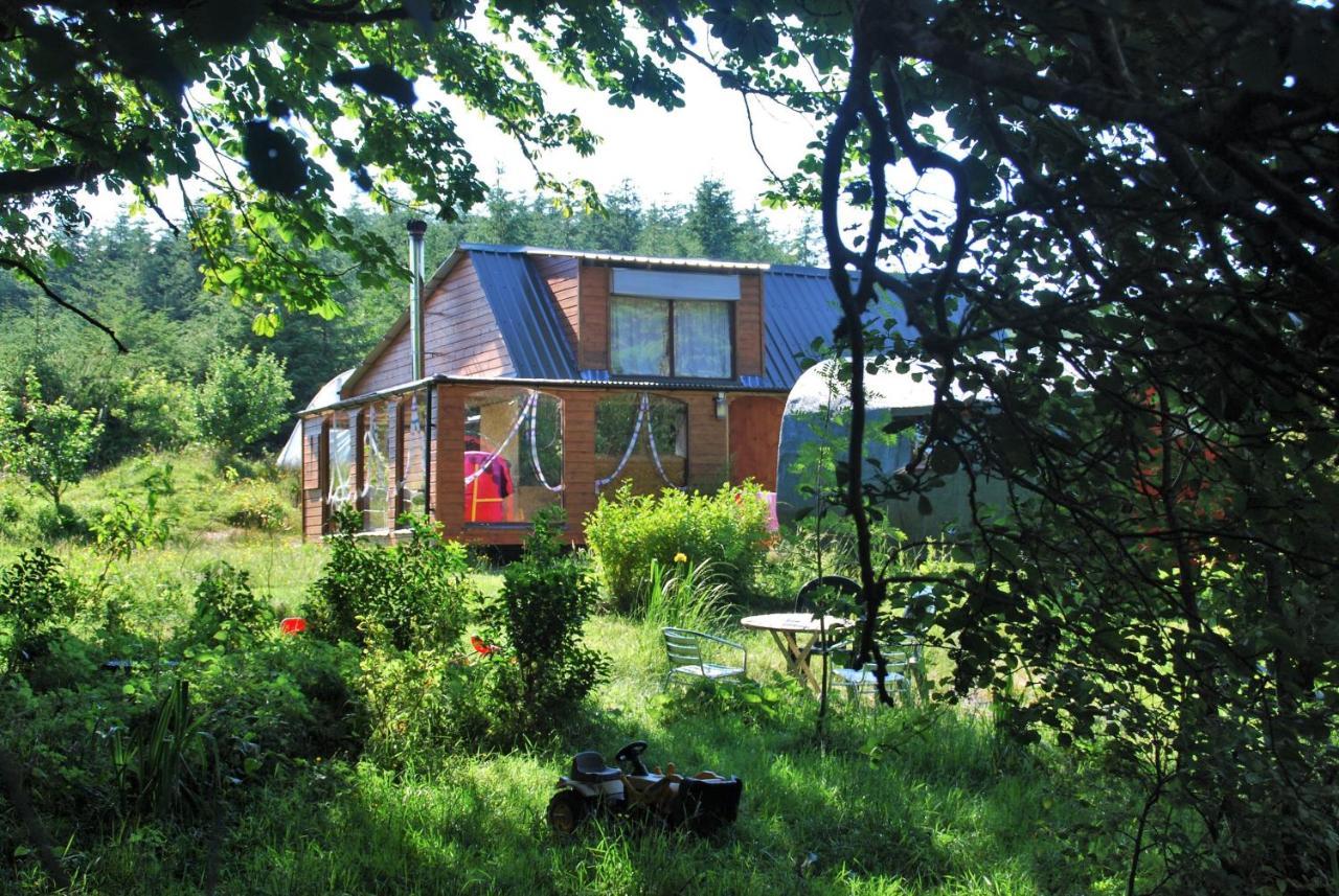Meadowsweet Forest Lodge Fintown Extérieur photo